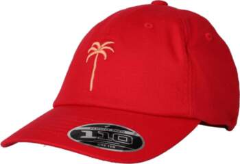 FC Bayern Munich Dad Cap Flex