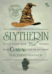 MIGHTYPRINT "Harijs Poters" – Slytherin
