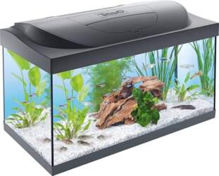 Tetra Starter Line 54 L akvārija