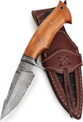 BIGCAT ROAR Predator Hunter – 10