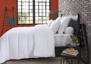 DODO TEMPERATED BED Bug & Mite