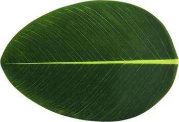 Set of 2 Leaf Design Place