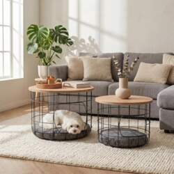 Side Table Set of 2 Cat