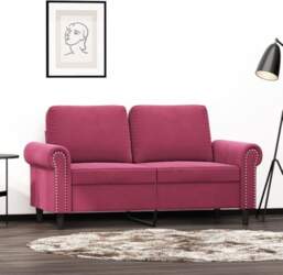 2-Seater Sofa Double Sofa Couch Lounge