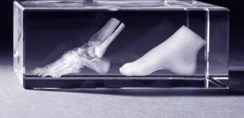 3D Crystal - Fuß + Fußknochen