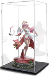 Acrylic Display Case 10 20 30