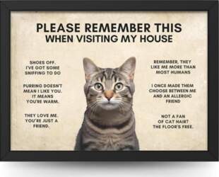 State Media Vision Funny Cat House