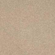 TARKETT Force Gres 1 33.klase