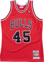 Mitchell & Ness NBA Authentic Jersey