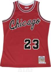 Mitchell & Ness NBA Authentic Jersey
