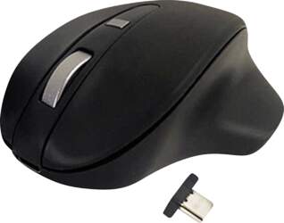 - Wireless USB-C Pro Mouse Black