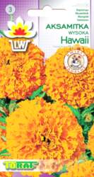 Samtenes TORAF Hawaii 1g