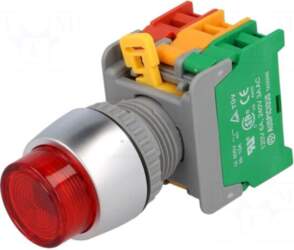 AUSPICIOUS Switch: push-button | 22mm |