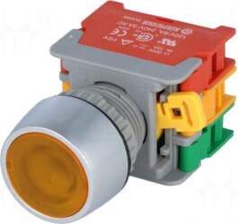 AUSPICIOUS Switch: push-button | 22mm |