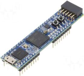 DIGILENT Dev.kit: Xilinx | Pmod