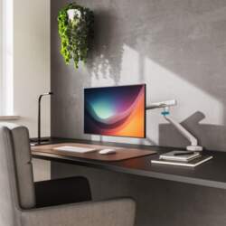 Digitus Single design monitor mount, 35&quot