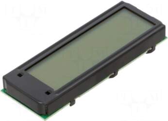 DISPLAY VISIONS Display: LCD | alphanumeric