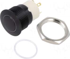 E-SWITCH Switch: vandal resistant | Pos:
