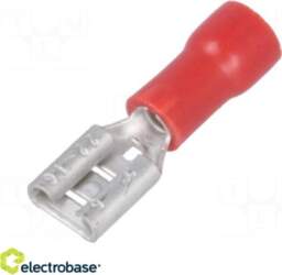 Electro Base Terminālis: plakans | 4