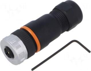 LAPP Connector: M12 | plug |