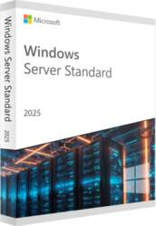 Microsoft Windows Server 2025 Standard 16