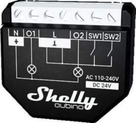 Shelly Wave 2PM