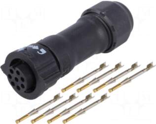 AMPHENOL LTW Connector: circular | plug