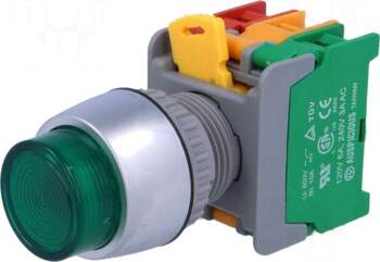 AUSPICIOUS Switch: push-button | 22mm |