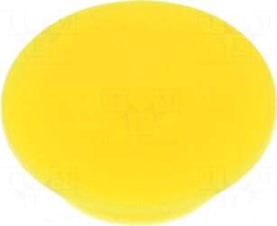 CLIFF Cap | plastic | push-in