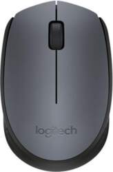 Datora pele Logitech  Logitech Wireless Mouse