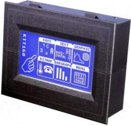 DISPLAY VISIONS Display: LCD | graphical