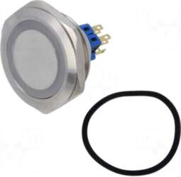 E-SWITCH Switch: vandal resistant | Pos:
