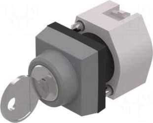 EAO Switch: rotary with key |