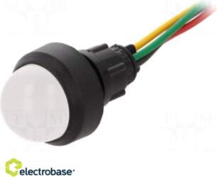 Electro Base Indicator: LED | prominent