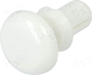 ESSENTRA Rivet | polyamide | white