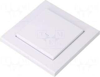 F&F Transmiter key with switch |