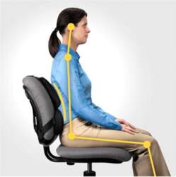 Fellowes Ergonomics professional back support pillow