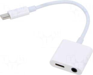 GEMBIRD Cable | Jack 3.5mm