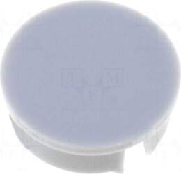 MENTOR Cap | Colour: grey |