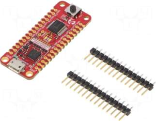 MICROCHIP TECHNOLOGY Dev.kit: Microchip PIC
