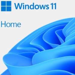 Microsoft (OEM) Microsoft Windows 11 Home