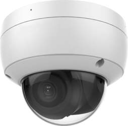 No name LevelOne Gemini IP Camera