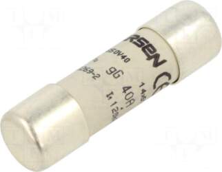 SCHNEIDER ELECTRIC Fuse: fuse | ceramic