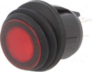 SWITCH COMPONENTS ROCKER | DPST |