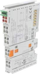 WAGO Automation module: analog input |