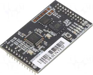 WIZNET Module: Ethernet | Comp: RP2040