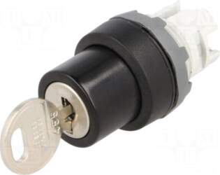 ABB Switch: rotary with key |