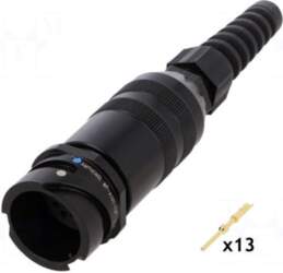 AMPHENOL Plug | Size: 16 |