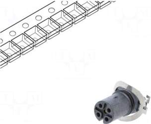 AMPHENOL LTW Socket | M12 |