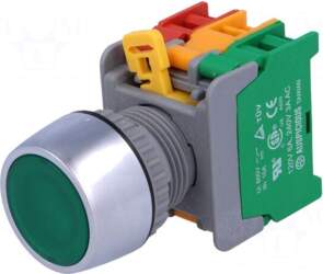 AUSPICIOUS Switch: push-button | 22mm |
